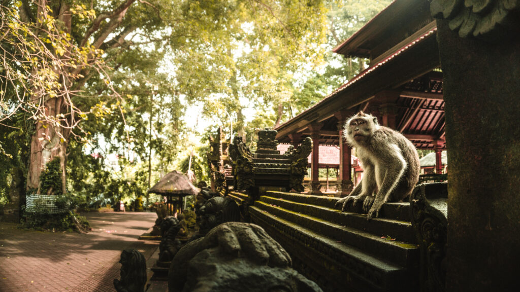 Sanctuaire de la Forêt Sacrée des Singes - Ubud