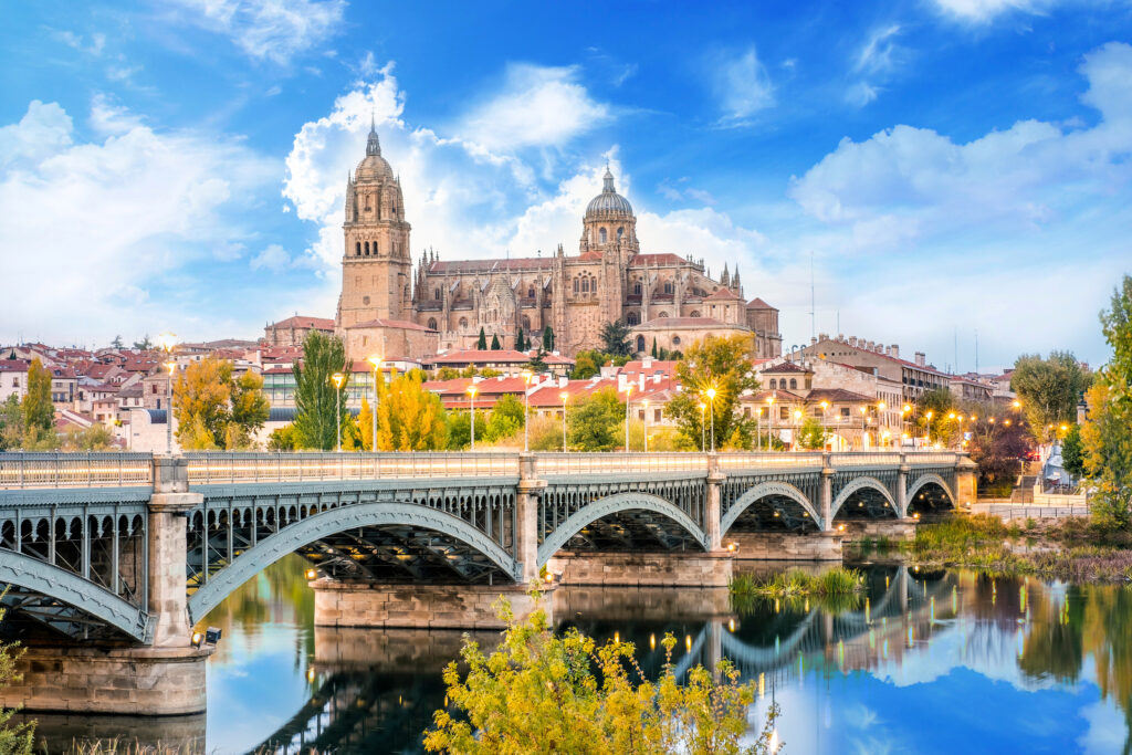 Vue sur Salamanque