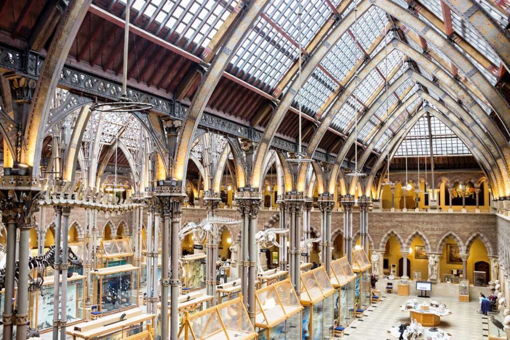 Musée d'Histoire Naturelle - Oxford 