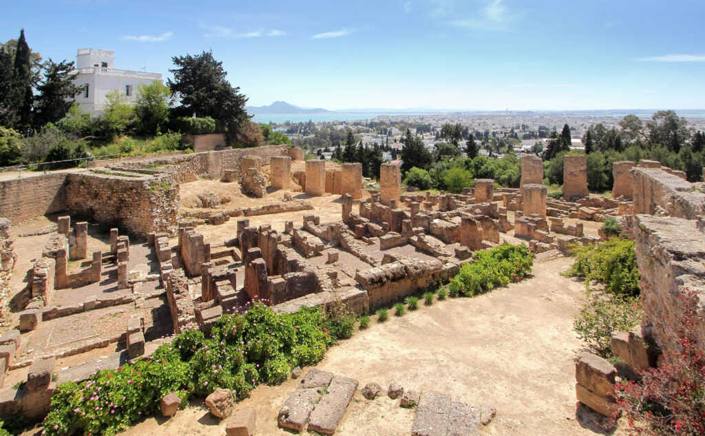 Visiter le site de Carthage