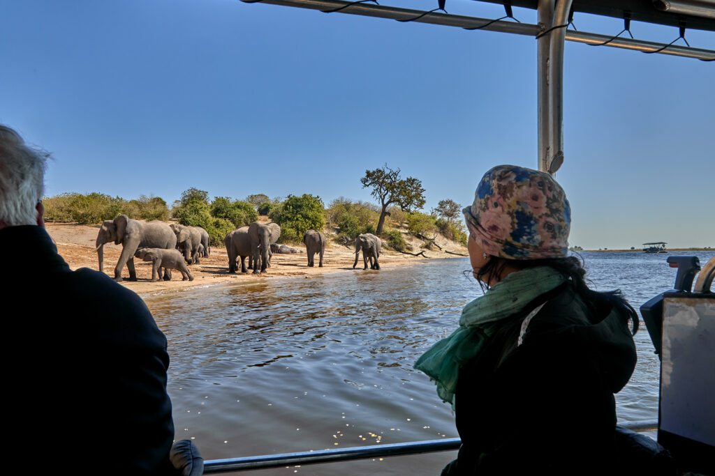 Safari dans le Mosi-oa-Tunya National Park