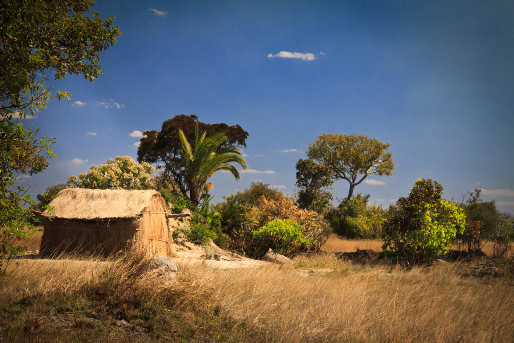 Paysage en Zambie