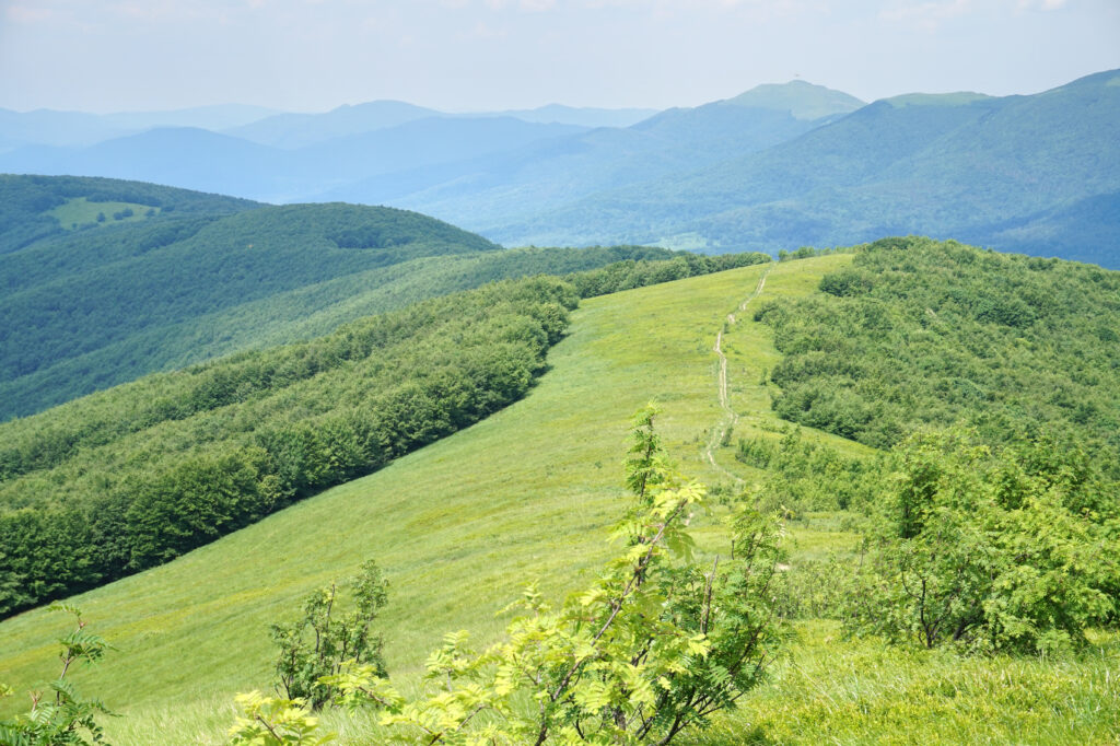Le Parc National Des Poloniny