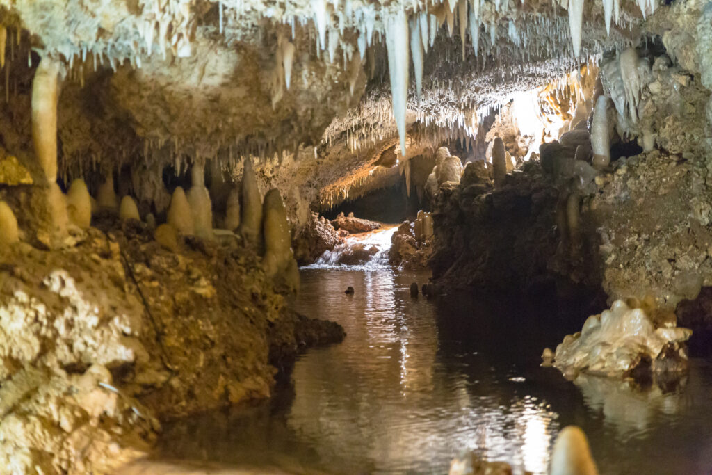 Harrison's Cave