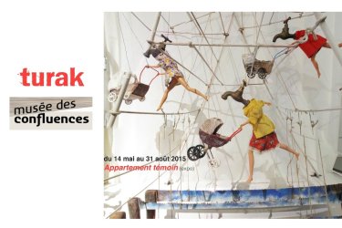Expositions estivales au Musée des Confluences