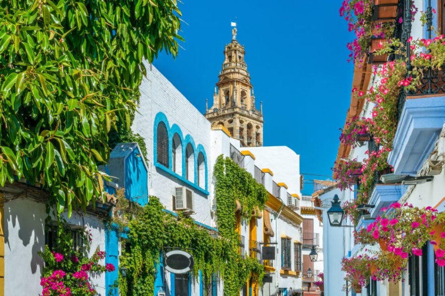 Discover Andalusia by train: itinerary tips in 2025