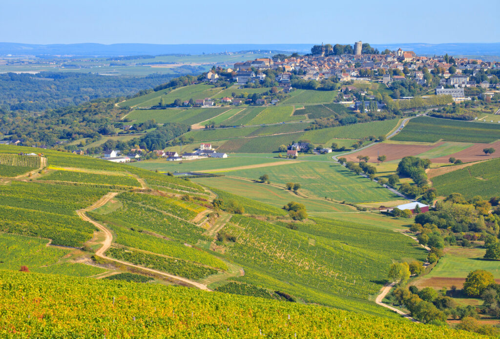 Vignobles à Sancerre