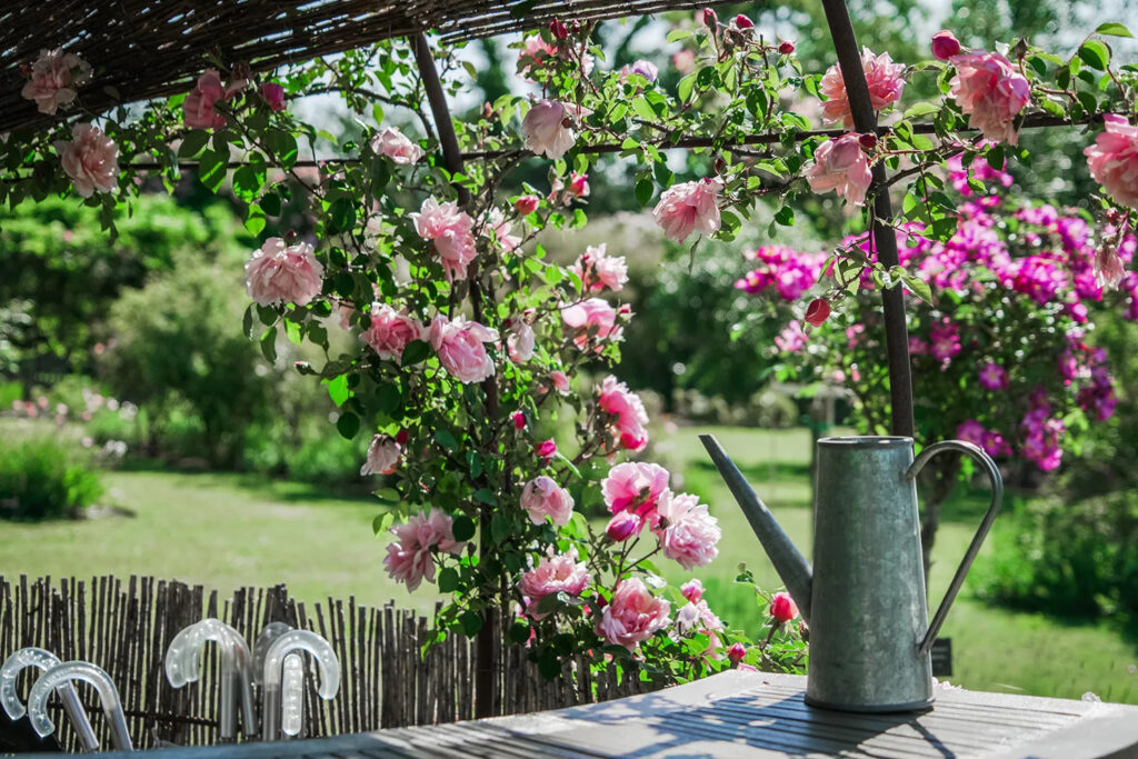 Passer un moment au Jardin de Marie