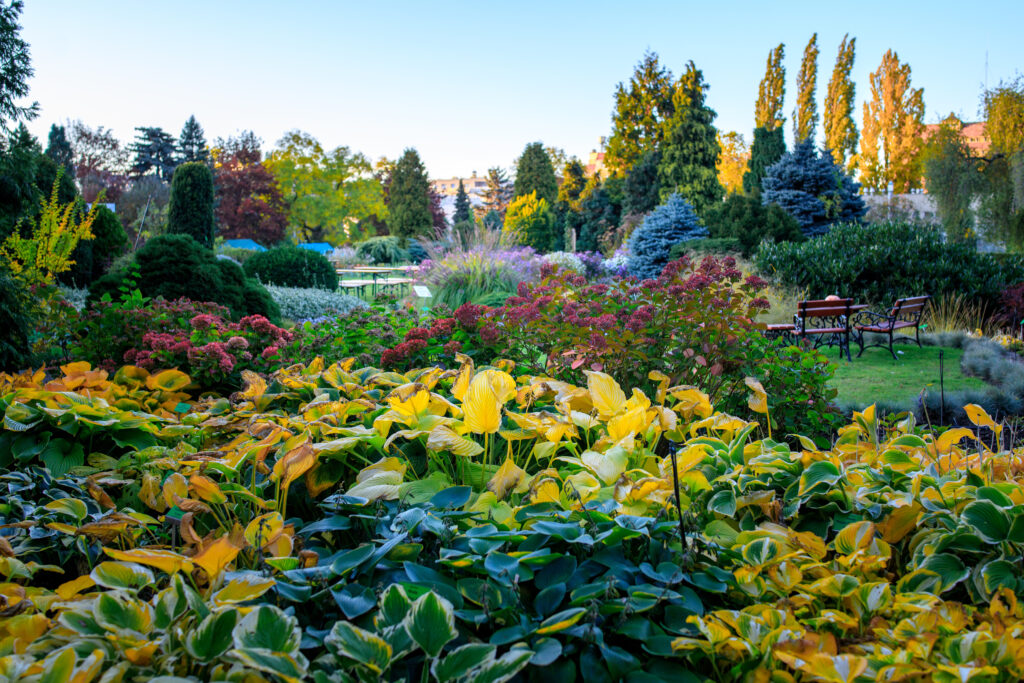 Jardin botanique de Wroclaw