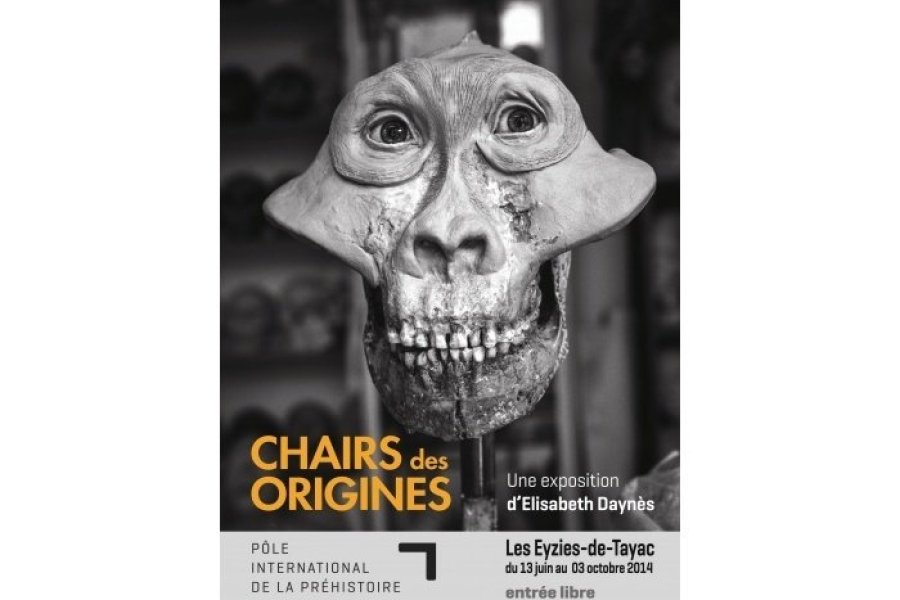 Chairs des origines, l'exposition