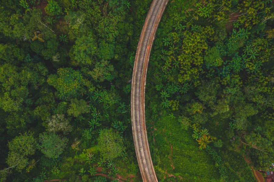 世界上最美的 15 条公路。仅 11 号公路就值得您绕道而行 在 2025