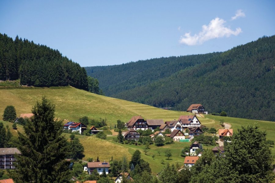 La Forêt-Noire, couleurs d'automne, randonnées et tables d'exception