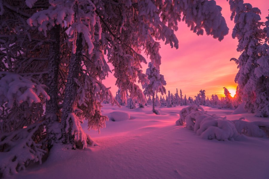 Swedish, Finnish or Norwegian Lapland: which to choose in 2025?