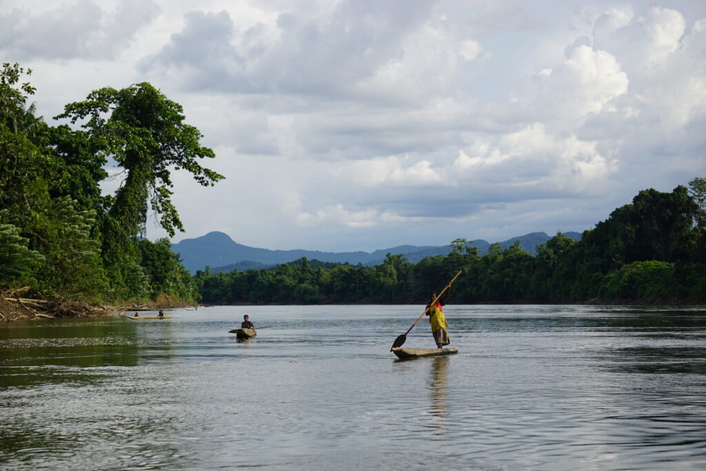 Pirogue sur la rivière Karawari