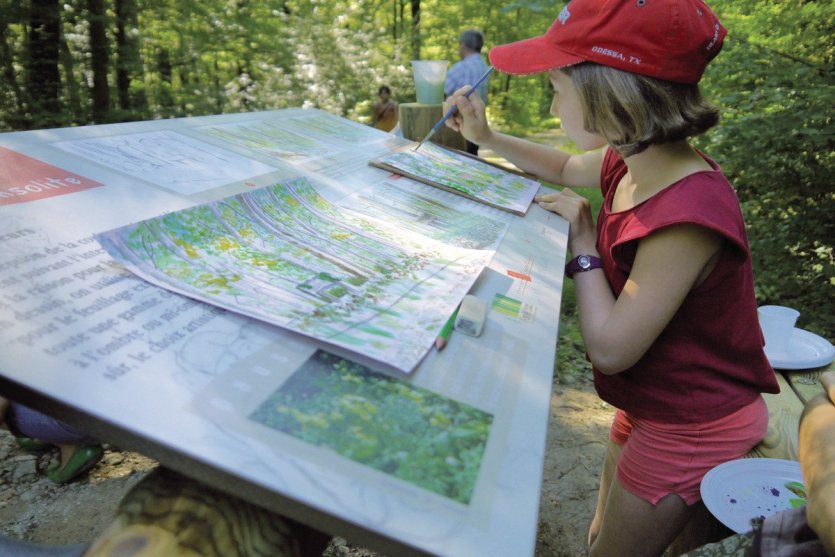 balades artistiques en forêt de seillons - © GT OTBBA