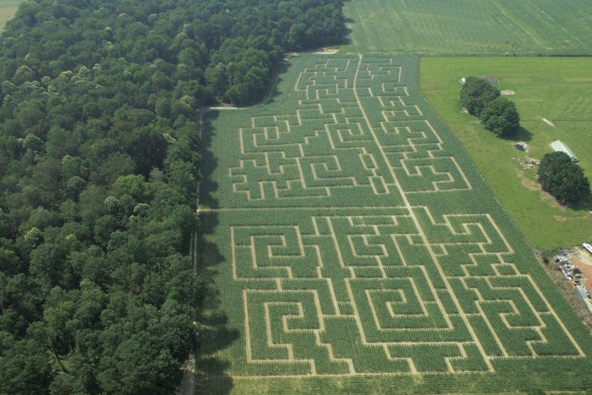 Labyrinthe - © OT Bourg-en-Bresse