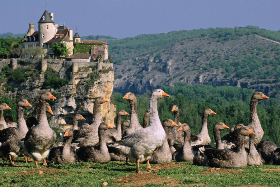 L'Aveyron, au fil de ses charmants villages