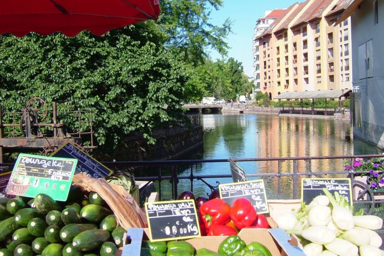Le marché de la vieille ville. - © Régis BRUGERE