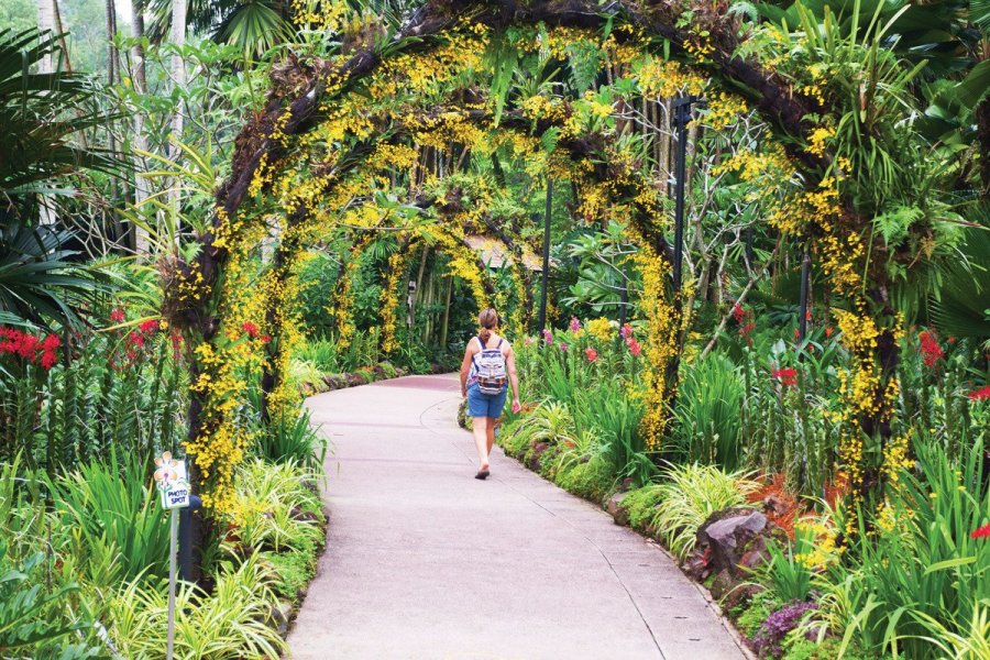 Les Jardins Botaniques de Singapour inscrits au Patrimoine de l'UNESCO