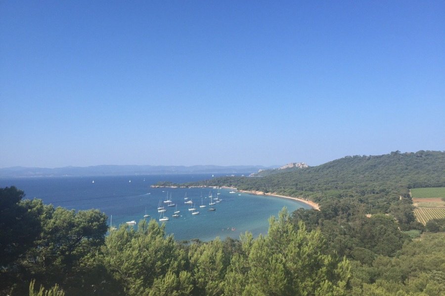 Vue de Porquerolles
