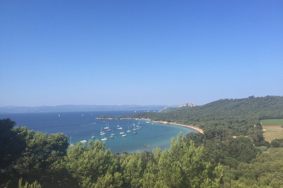 Vue de Porquerolles