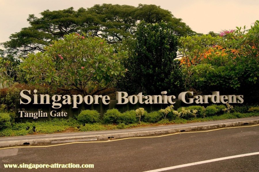 Les jardins botaniques de Singapour