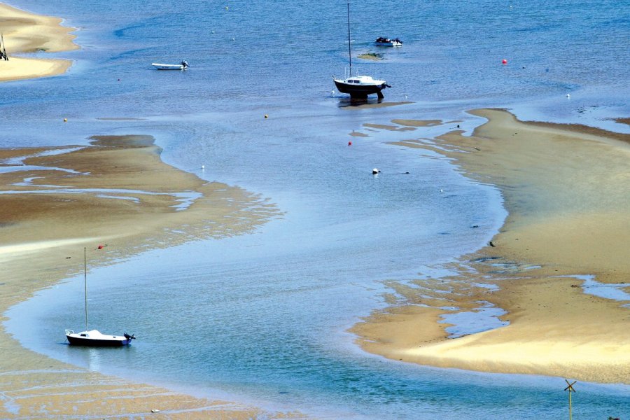 Le bassin d'Arcachon, balade nature entre océan et pinède