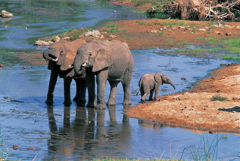 - © Tanzania Tourist Board