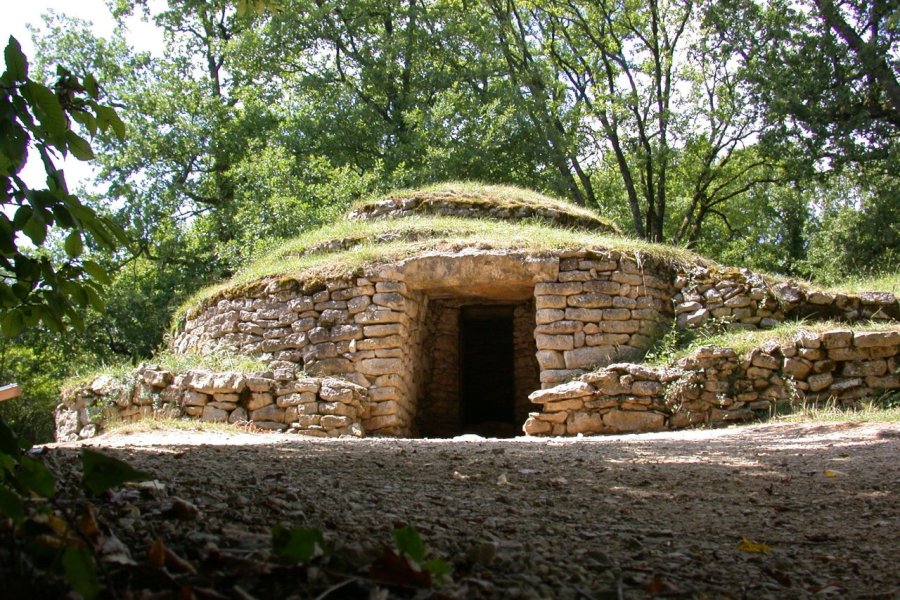 Musée des Tumulus de Bougon - Un été 2015 préhistorique !