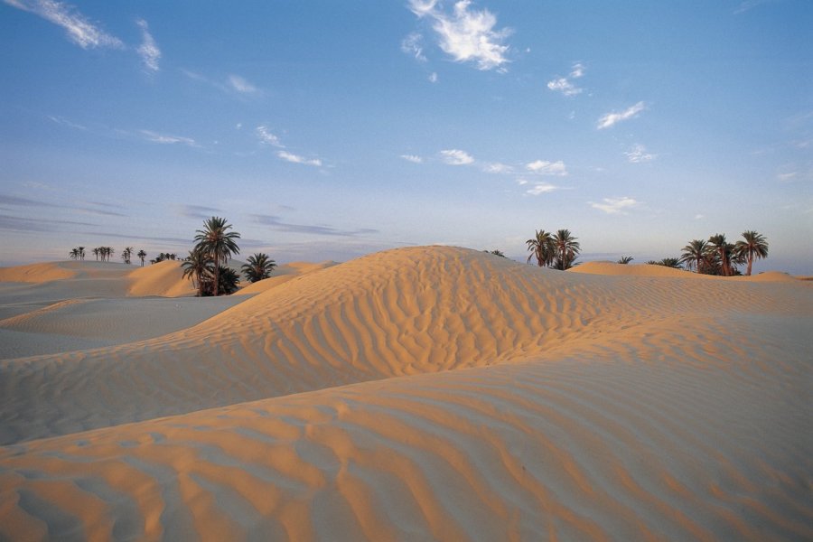 Dunes Electroniques, l'évasion musicale aux portes du Sahara...