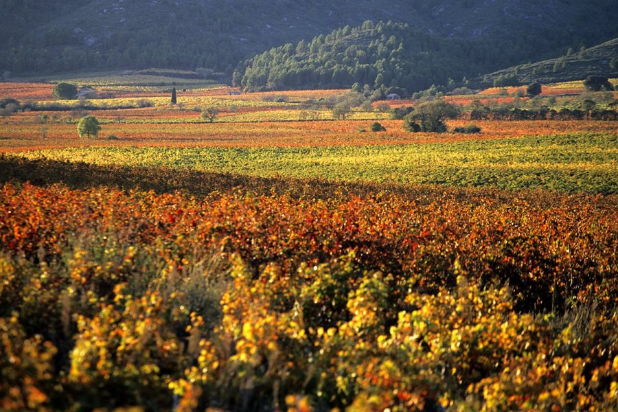 En septembre, les couleurs de l'Automne en Corbière Minervois...