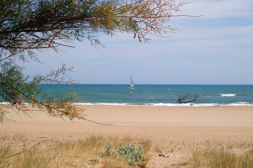 Plage des Cabanes de Fleury - © Françoise DOLQUES