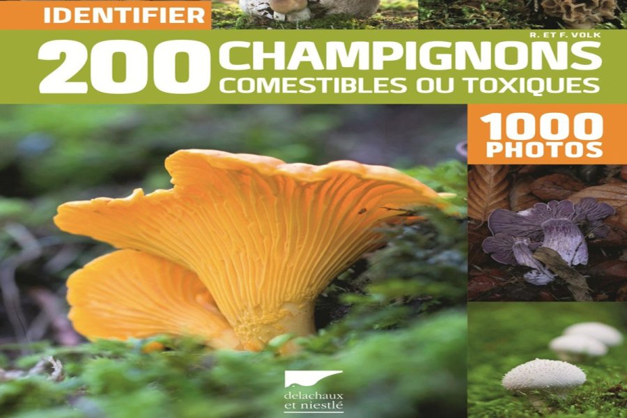 Identifier 200 champignons comestibles ou toxiques en 1000 photos