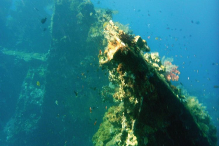 Épave du cargo américain que l'on peut découvrir en plongée ou snorkelling à Tulamben. - © Stéphan SZEREMETA