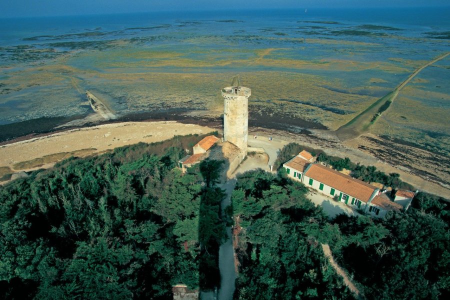 Île de Ré, une destination balnéaire gourmande et culturelle