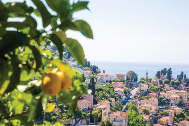 Le citron de Menton, reconnu au plus haut niveau !