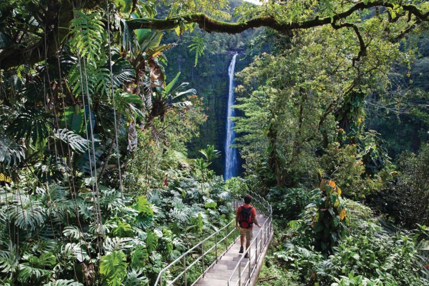 Akaka Falls. - © Hawaii Tourism Authority (HTA) / Tor Johnson