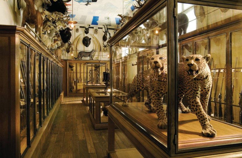 - © Musée de la Chasse et de la nature, paris - Cliché Erwan Le Marchand