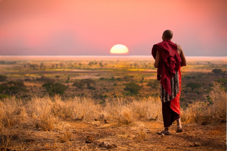 Serengeti National Park. - © Jo Crebbin / Shutterstock.com