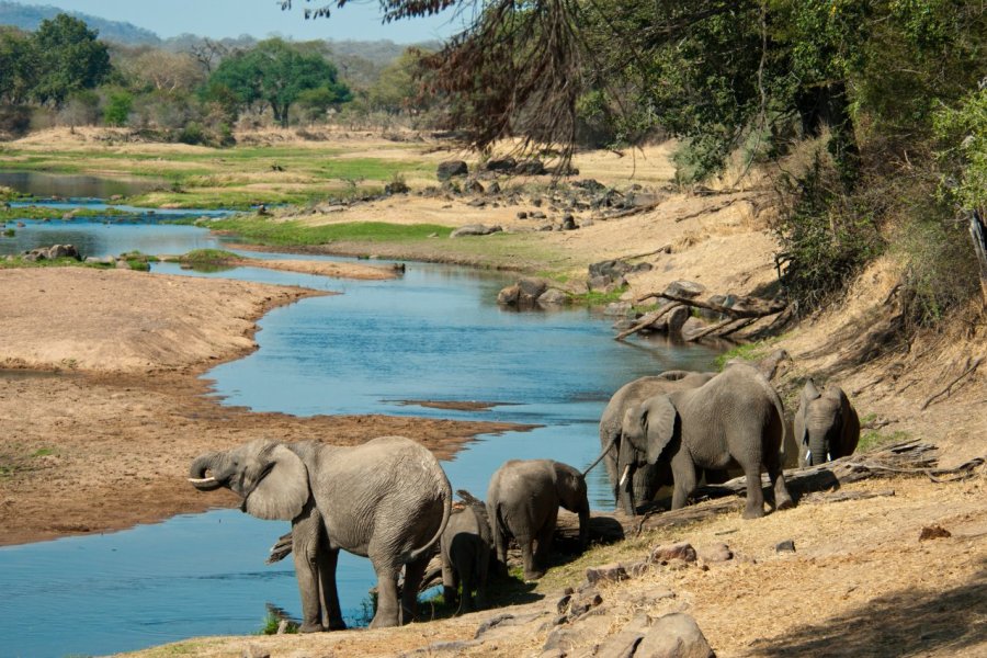 Voyage en Tanzanie