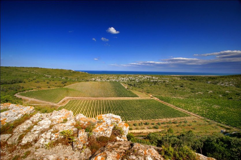 AOC La Clape - © CHATEAU L'HOSPITALET