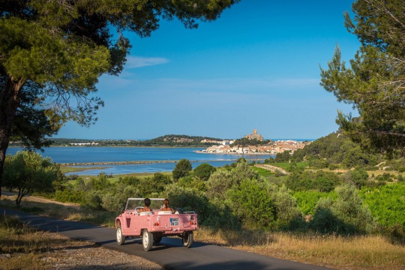 Vignes de Gruissan - © P.CALAMEL