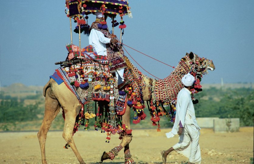 Balade en dromadaire à Jaisalmer. - © Alamer - Iconotec
