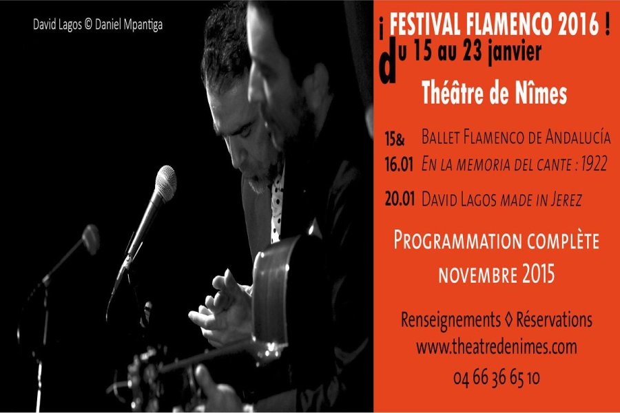 Nîmes au rythme du flamenco