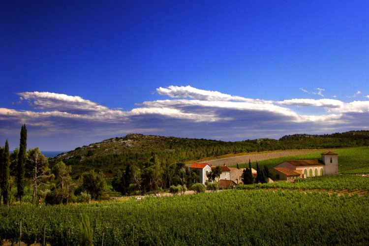 Château l'Hospitalet, à Narbonne. - © D.R.