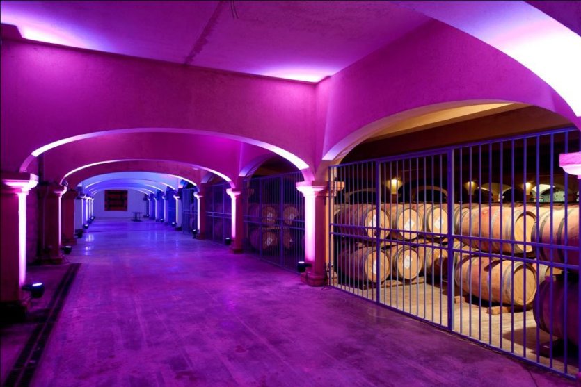 Caves du château l'Hospitalet. - © D.R.