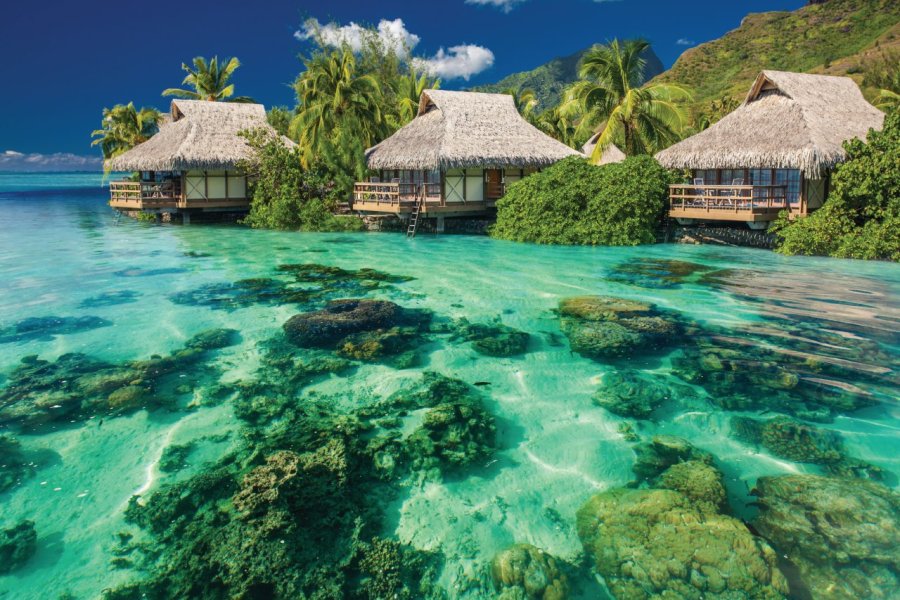 Tahiti, paradis du bout du monde