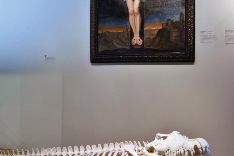 les créatures, les animaux ont une histoire , Noël au château - © Bernard Renoux ©