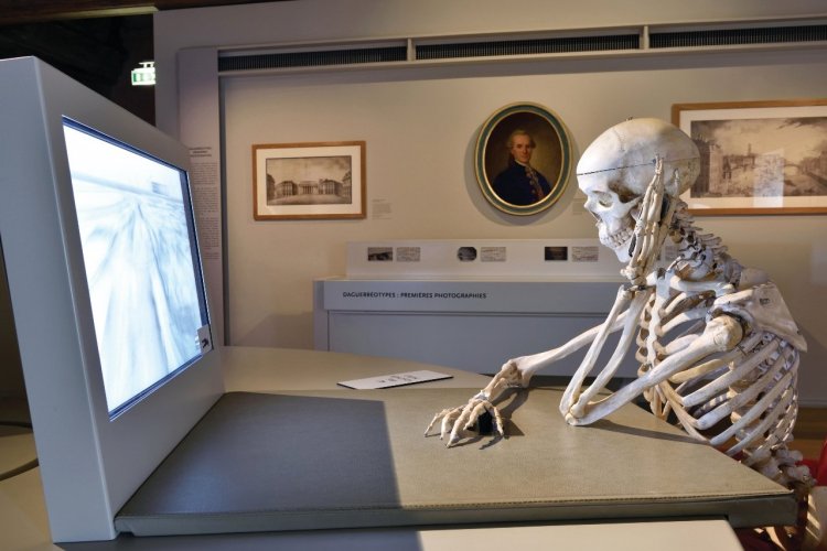les créatures, les animaux ont une histoire , Noël au château - © Bernard Renoux ©