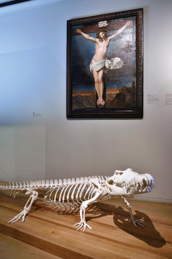 les créatures, les animaux ont une histoire , Noël au château - © Bernard Renoux ©
